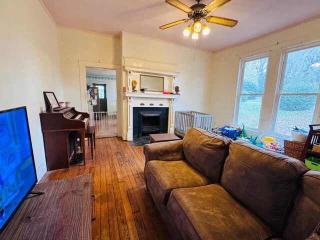 living room featuring ceiling fan, ornamental molding, and hardwood / wood-style flooring