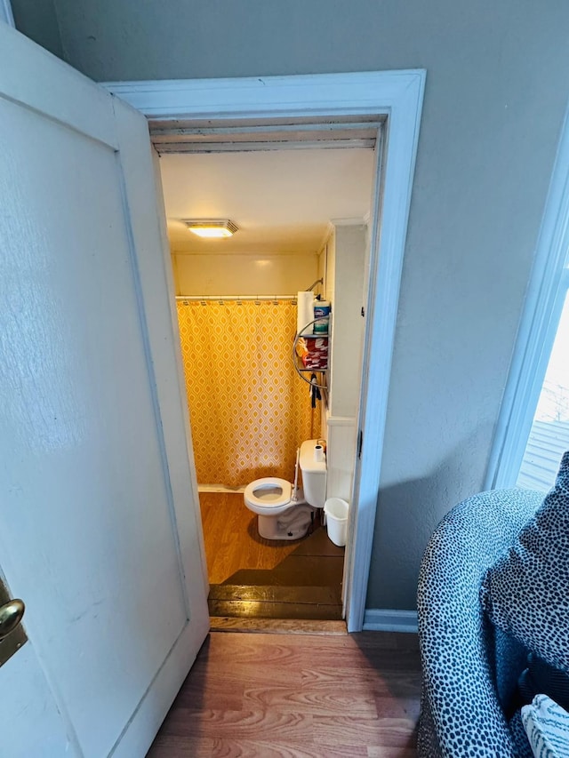 bathroom with wood-type flooring and toilet