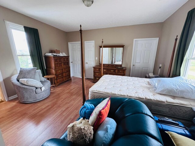 bedroom featuring hardwood / wood-style flooring and multiple windows