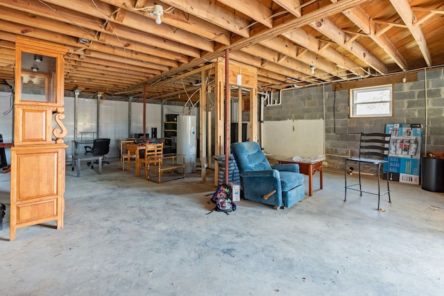 basement with electric water heater