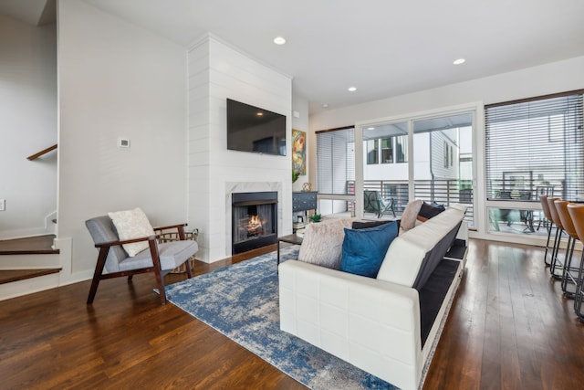 living room featuring a large fireplace and dark wood-type flooring