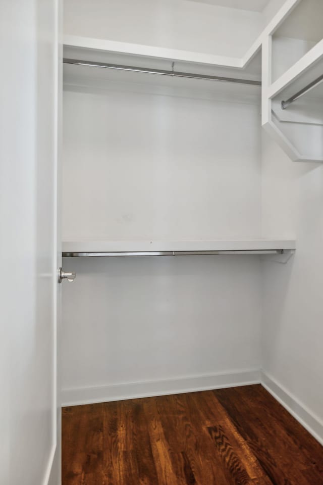 spacious closet with dark wood-type flooring