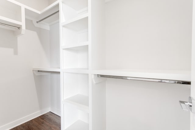 spacious closet featuring dark wood-type flooring