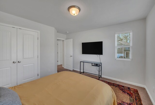 bedroom with carpet and a closet