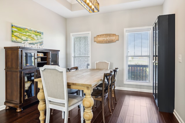 dining area featuring dark hardwood / wood-style floors