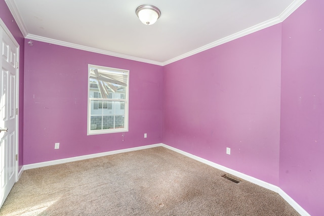 spare room with carpet flooring and ornamental molding