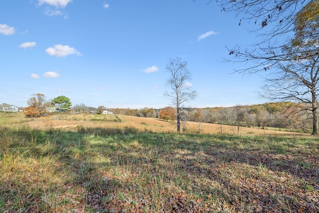 view of yard featuring a rural view