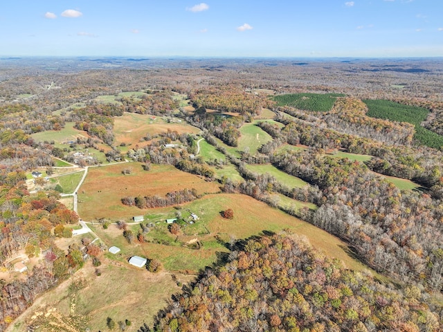 aerial view