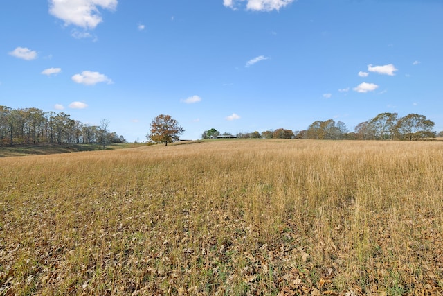 view of landscape featuring a rural view