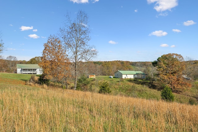 view of yard featuring a rural view