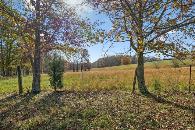 view of yard featuring a rural view