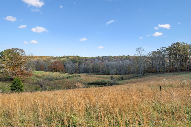 view of landscape featuring a rural view