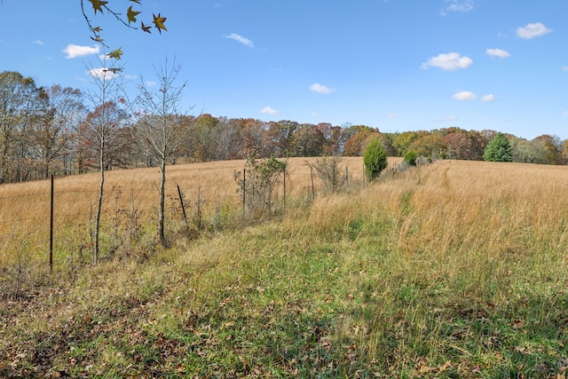 view of landscape featuring a rural view