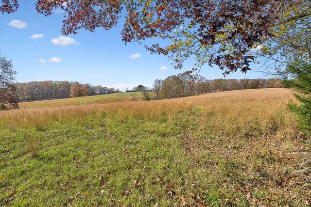 view of local wilderness featuring a rural view