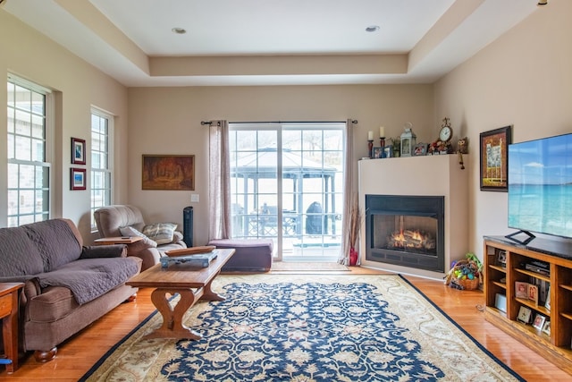 living room with a raised ceiling and light hardwood / wood-style floors