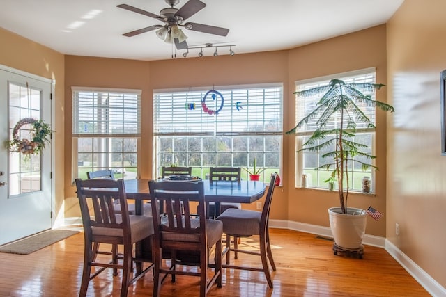 dining room featuring ceiling fan, a healthy amount of sunlight, and wood-type flooring