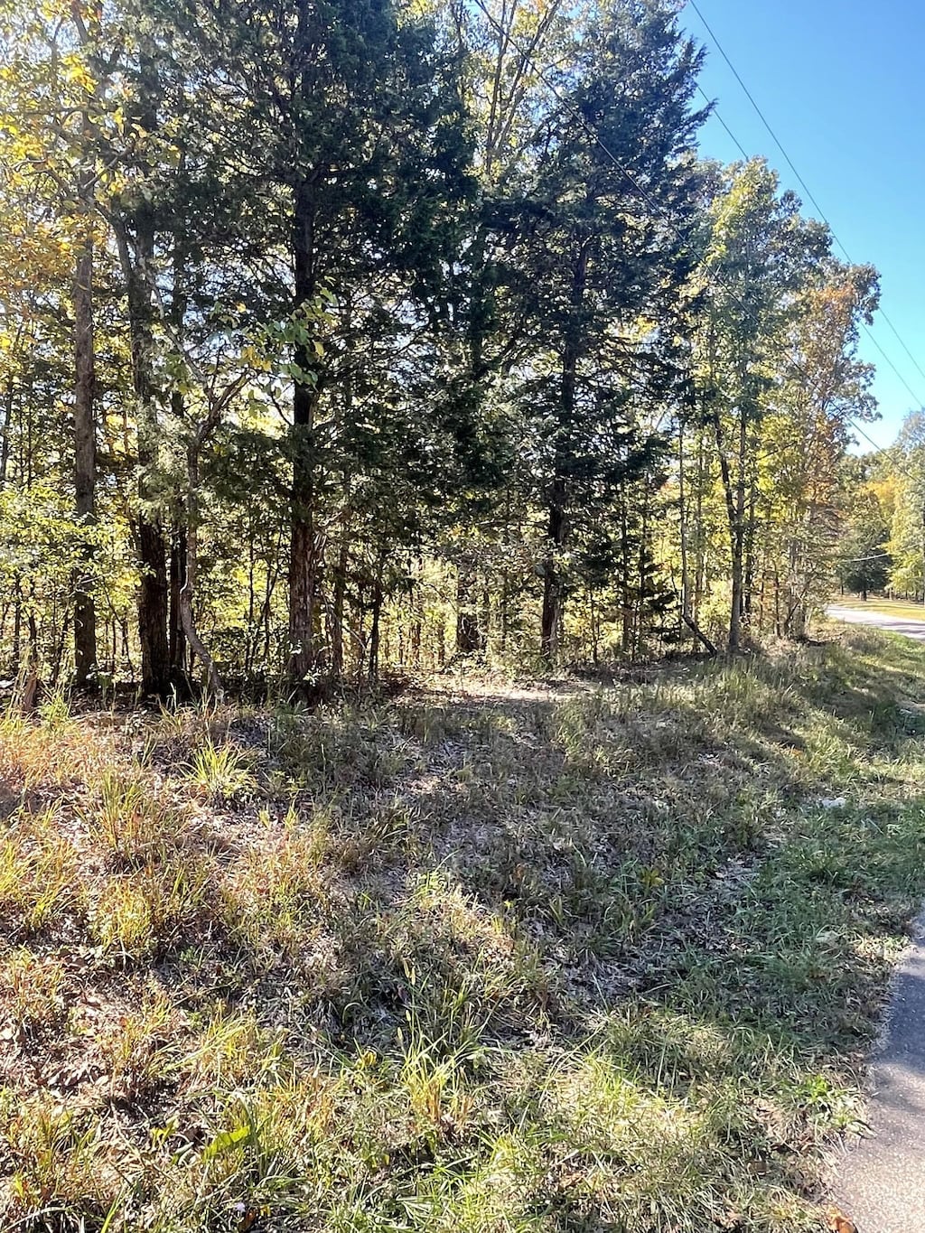 0 Rocky Dr, Dickson, TN 37055 - photo 1