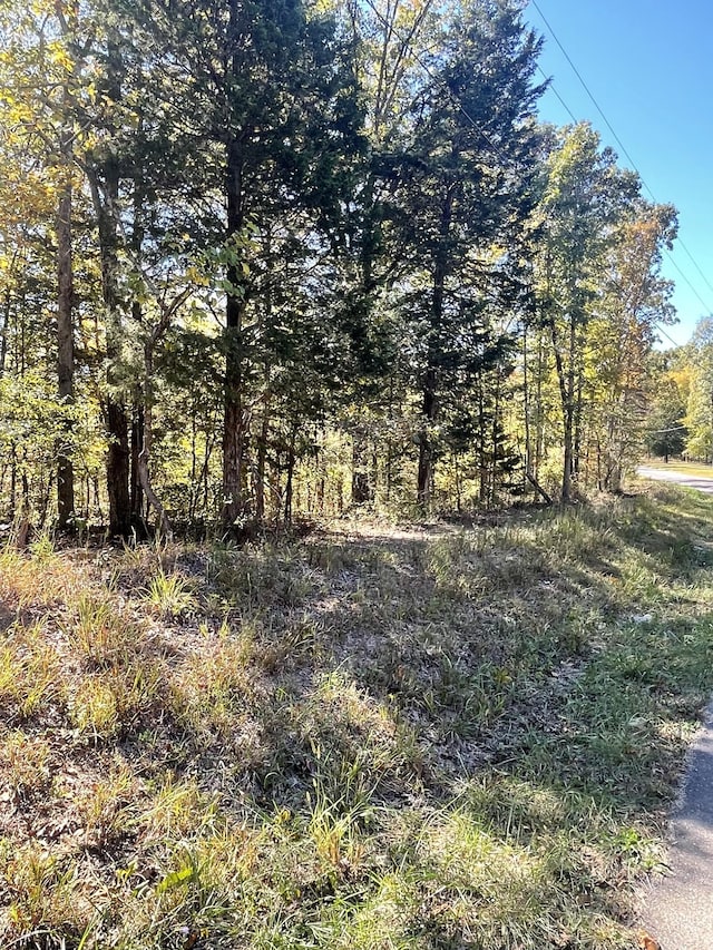 0 Rocky Dr, Dickson, TN 37055 - photo 1