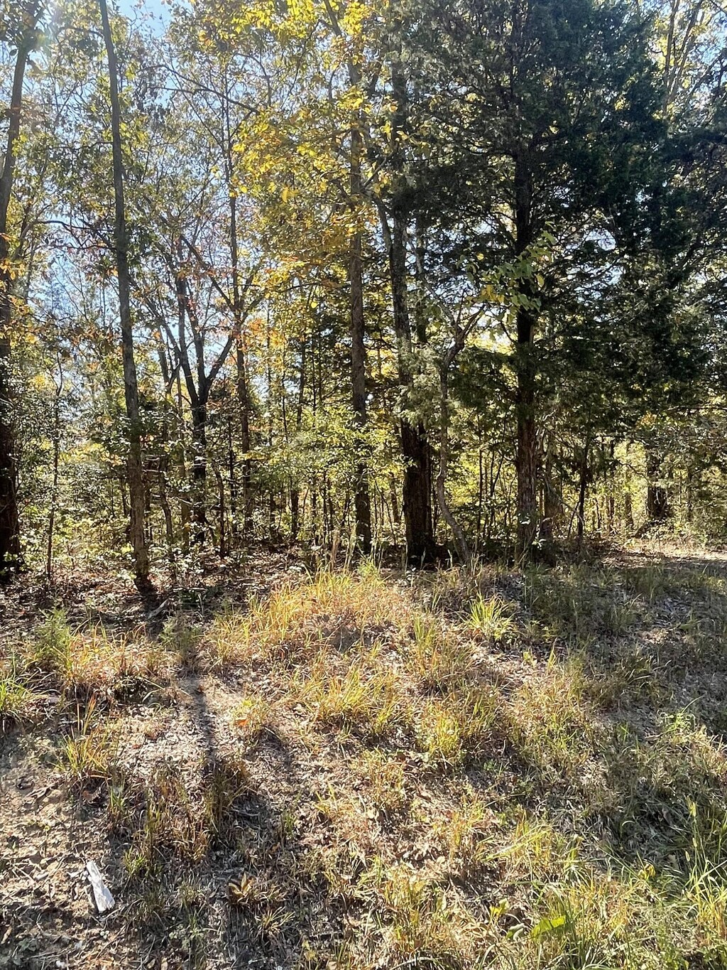 0 Rocky Dr, Dickson, TN 37055 - photo 2
