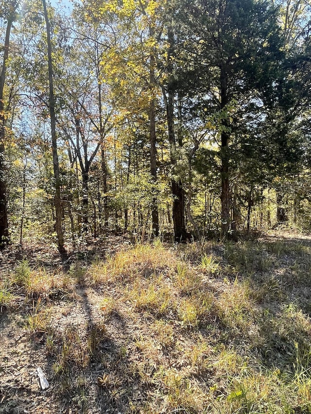 0 Rocky Dr, Dickson, TN 37055 - photo 2