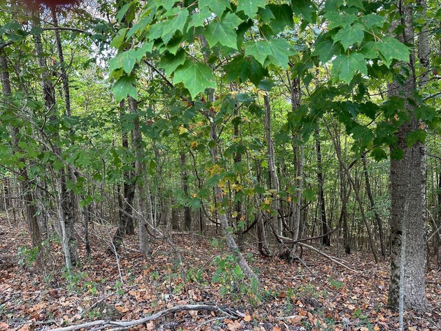 77 Thunder Ridge Dr, South Pittsburg, TN 37380 - photo 3