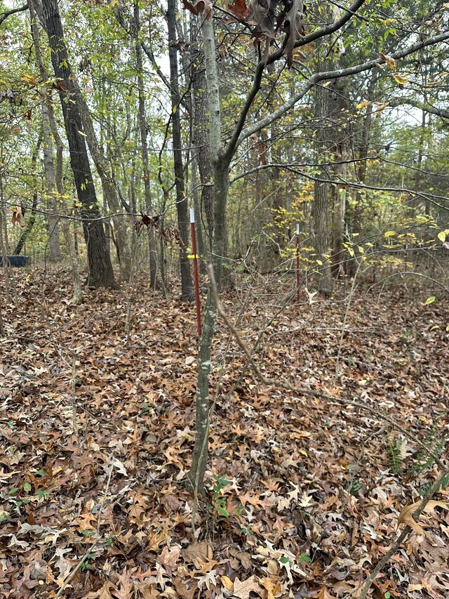 427 The Trce, Dover, TN 37058 - photo 9