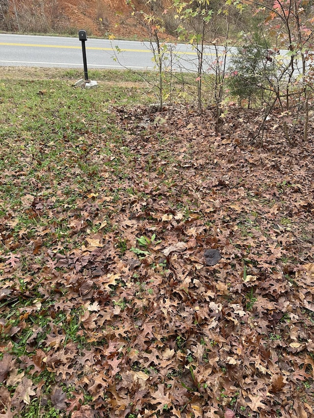 427 The Trce, Dover, TN 37058 - photo 2