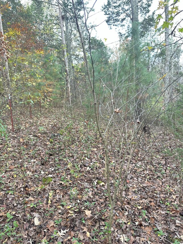 427 The Trce, Dover, TN 37058 - photo 7