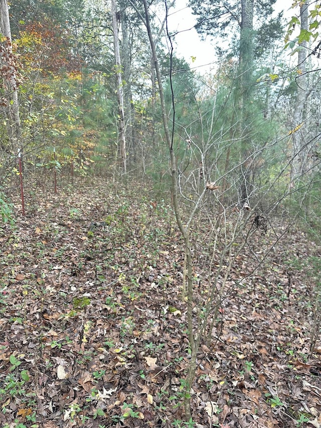 427 The Trce, Dover, TN 37058 - photo 6
