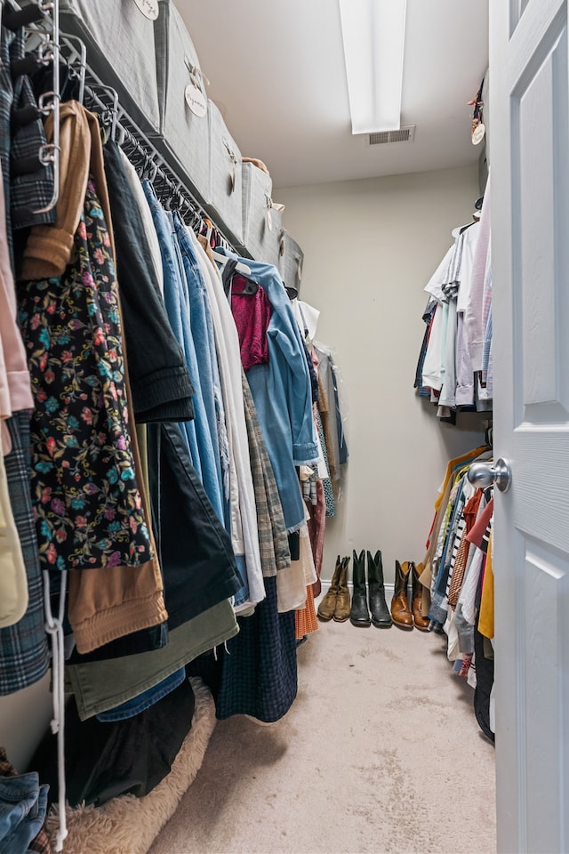 spacious closet with carpet