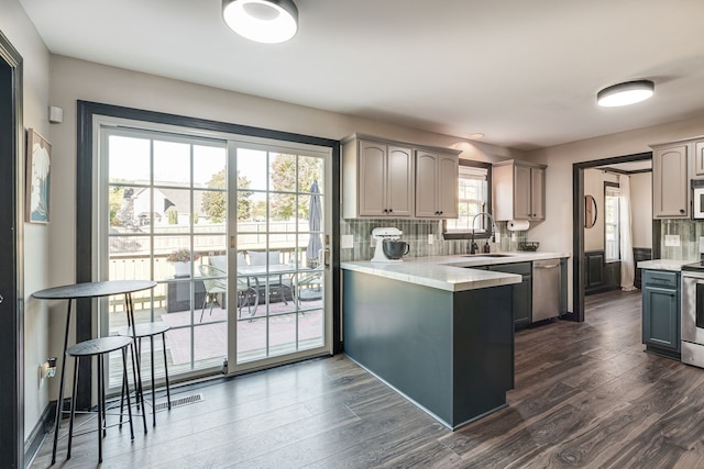 kitchen featuring backsplash, gray cabinets, sink, and dark hardwood / wood-style floors