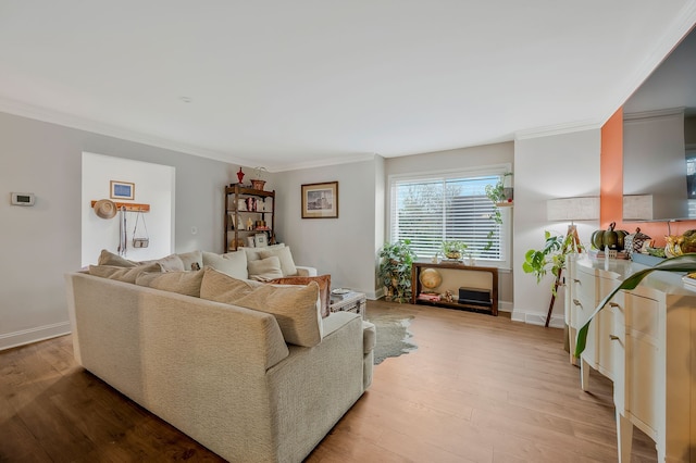 living room with crown molding and light hardwood / wood-style flooring