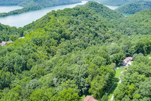 0 Austin Lake Rd, Baxter, TN 38544