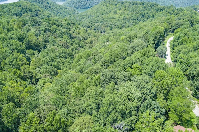 0 Austin Lake Rd, Baxter, TN 38544