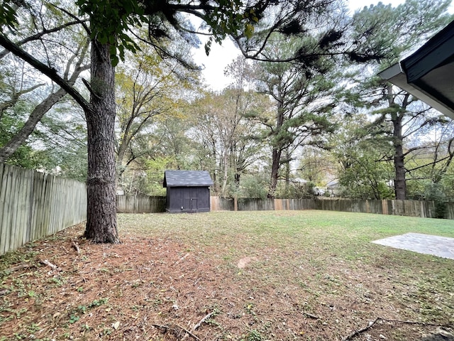 view of yard with a storage unit