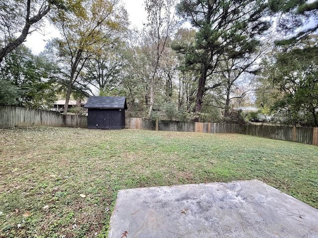 view of yard featuring a patio area and a storage shed