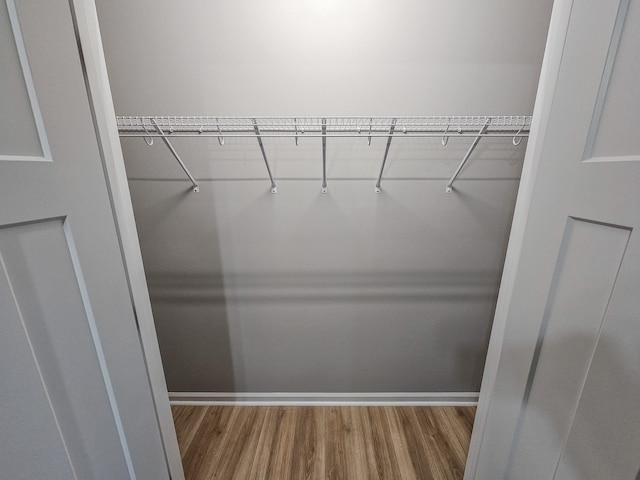 walk in closet with wood-type flooring