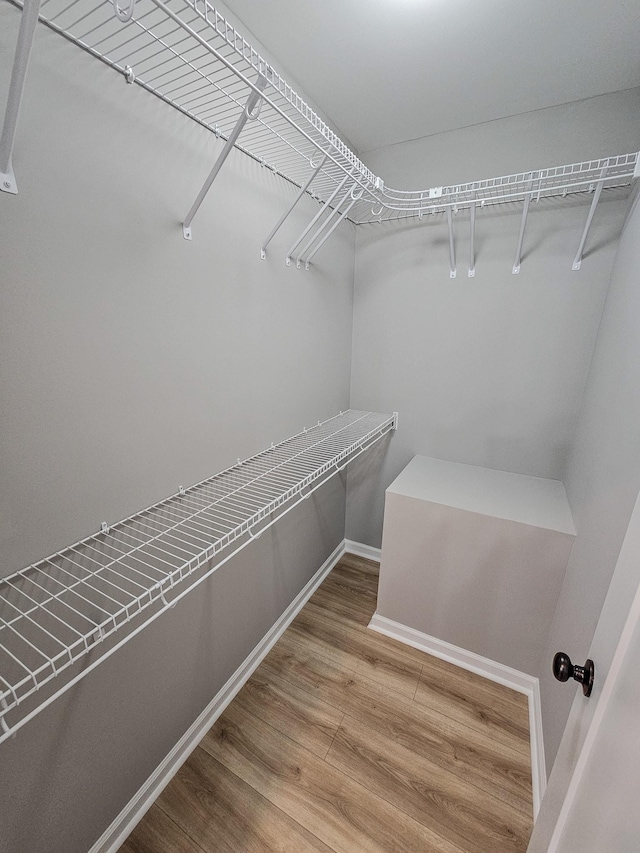 spacious closet with hardwood / wood-style flooring