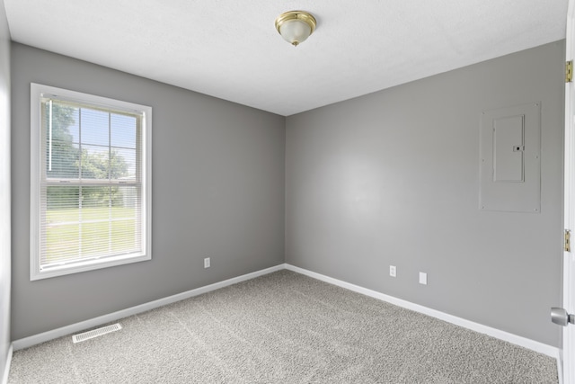 carpeted empty room featuring electric panel and plenty of natural light