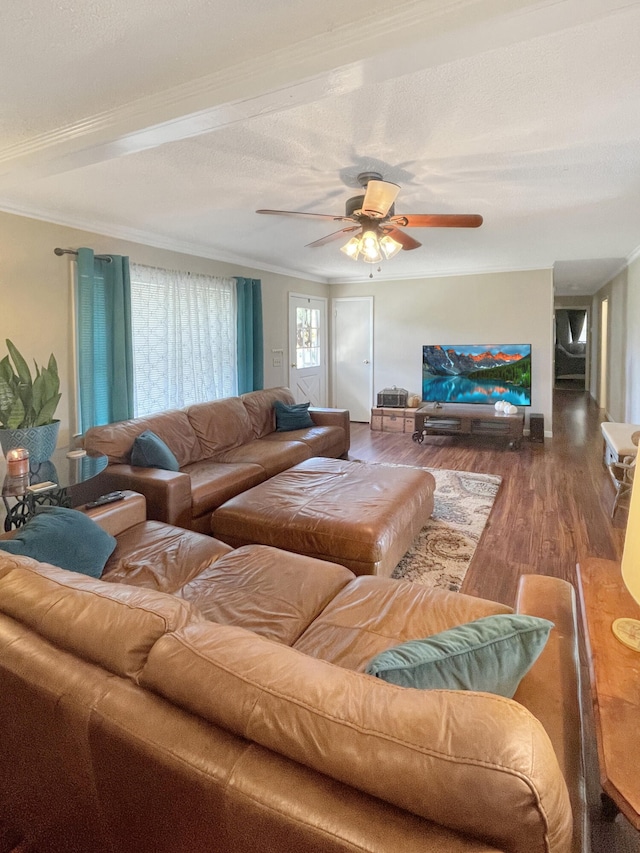 living room with a ceiling fan, a textured ceiling, ornamental molding, and wood finished floors