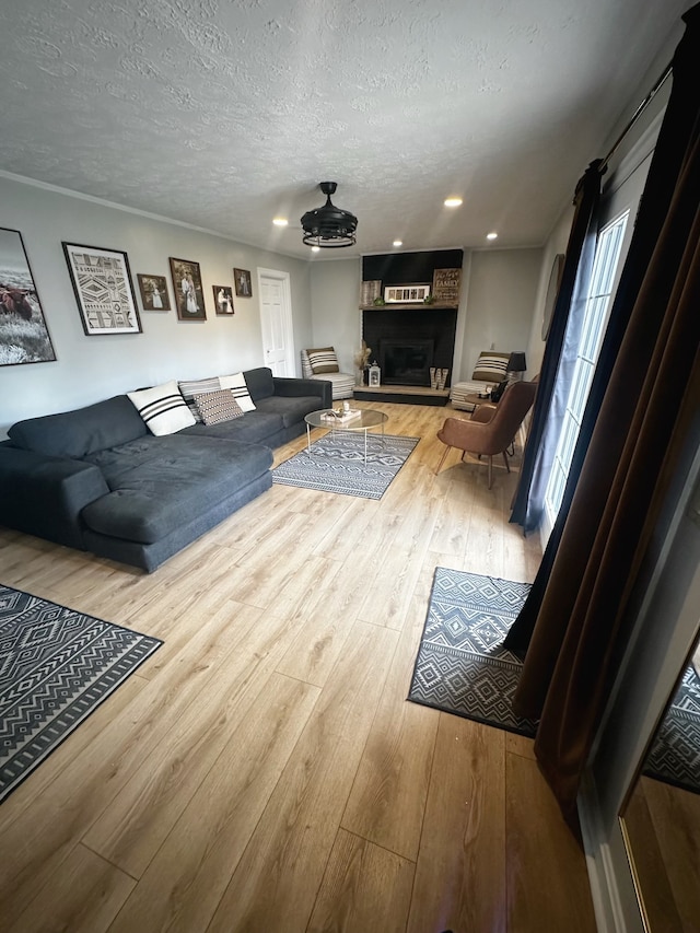 living room with hardwood / wood-style flooring, a large fireplace, and a textured ceiling