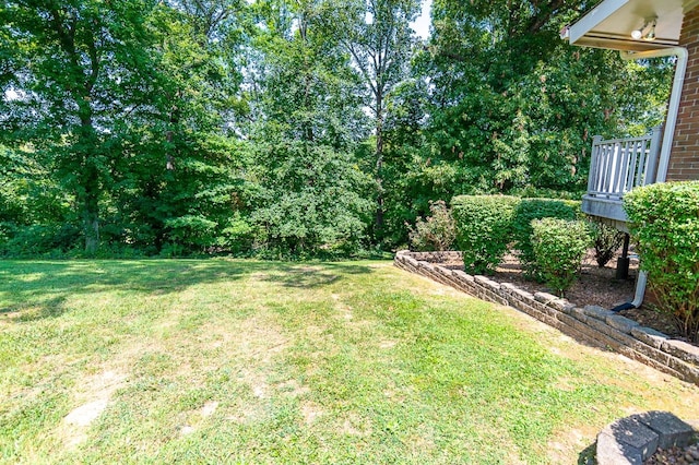 view of yard with a wooden deck