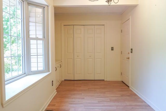 interior space featuring light hardwood / wood-style floors