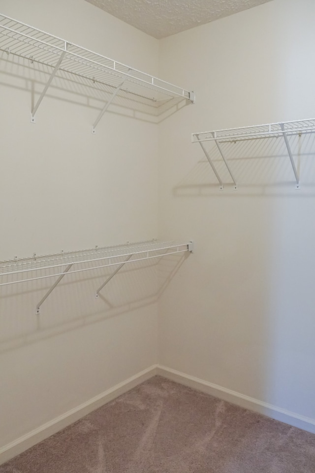 spacious closet with carpet floors