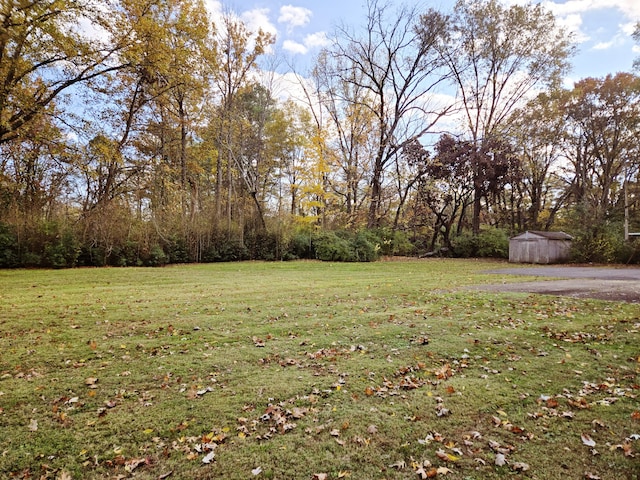 view of yard featuring a storage unit