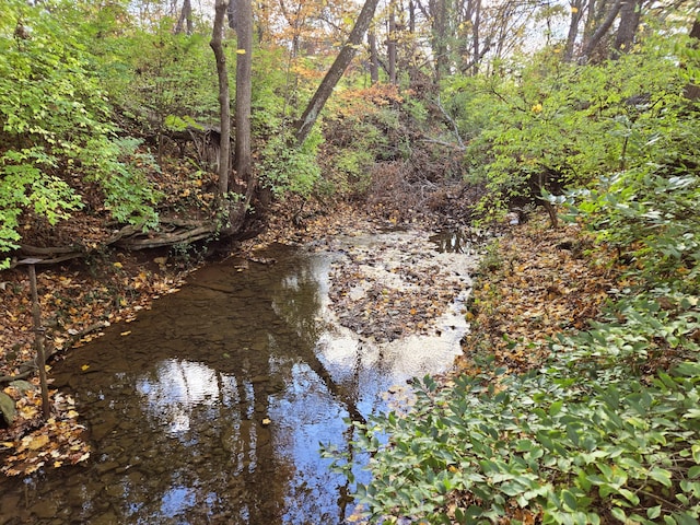 view of local wilderness