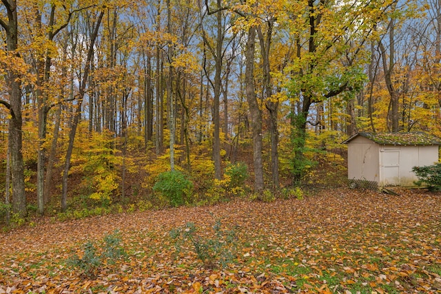 view of yard featuring a storage unit