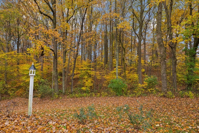 view of nature