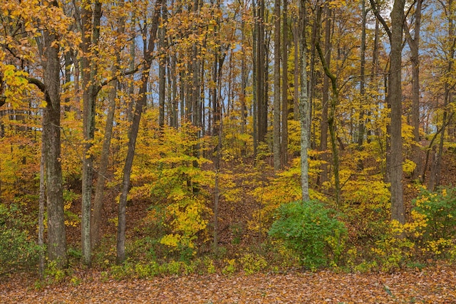 view of landscape