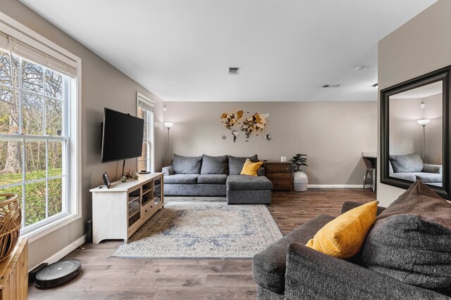 living room featuring hardwood / wood-style flooring and plenty of natural light